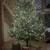 Fraser Hill Farm 12-Ft Foxtail Pine Artificial Christmas Tree 1 thumbnail