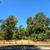 Cedar Grove Apartments - 2 Bed-1 Bath (PET FRIENDLY) AVAI. NOV!! 21 thumbnail