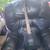 Guitar - First Act ME636 - used, good 2 thumbnail