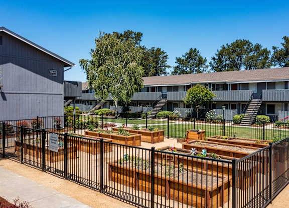 $2,675 / 1hab - 660ft2 - Relájate y recarga en los hermosos apartamentos Cherrywood con jardines (san josé sur)63657982032899122
