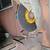 Metal Cutoff Saw 2 thumbnail