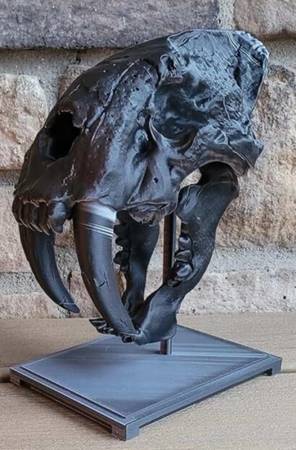 3D Printed Sabertooth Tiger Skull Replica, Large Animal Fossil 1