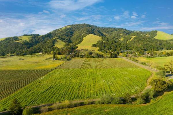 $2,442 / 1br - 743ft2 - 3-Bedroom Special! - Call Today! (rohnert pk / cotati)63671973269377123