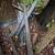 Landscape edging, USED various lengths, 2 types 5 thumbnail