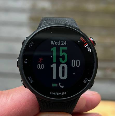 Garmin Forerunner 45S 1