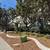 Best location & price for updated, clean 2BR unit 12 thumbnail