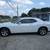 2019 Dodge Challenger - Financing Available! 3 thumbnail