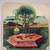 Nektar - A Tab in the Ocean Vinyl LP 1 thumbnail