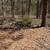 11 Acres Of Land 1 thumbnail
