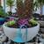Concrete Planters – Small, Medium, Large or Full Set – Modern & Durabl 8 thumbnail