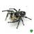 JUMPING SPIDERS AVAILABLE!’ 1 thumbnail