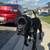 EXPERIENCED DOG HANDLERS, PAID OPPORTUNITY TO DOG FOSTER! 10 thumbnail