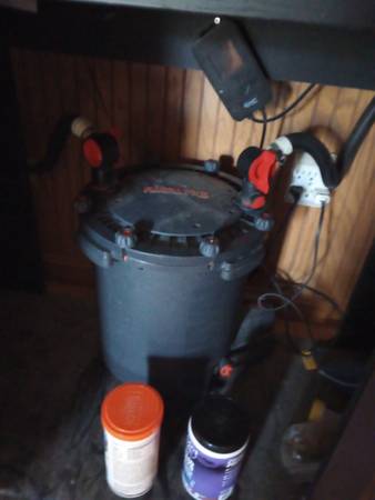 100 gallon setup63872576470787123
