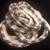 3 yards of hanging pearl fringe trim with sewing ribbon 17 thumbnail