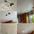 Handyman Painter Flooring Furniture assembly Painting Plumbing 20 thumbnail