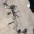 PSE CHAOS FS COMPOUND BOW 1 thumbnail