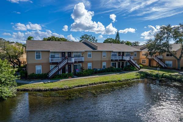 $1,299 / 1br - 600ft2 - Free Wi-Fi in Common Areas, 1BD 1BA, Tampa FL (Newly renovated)63991084973954124