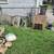 Yard Sale! 39631 Ormsby Clinton Township 9 thumbnail