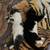Free kittens rehoming 6 thumbnail