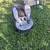 Stroller and car seat 1 thumbnail