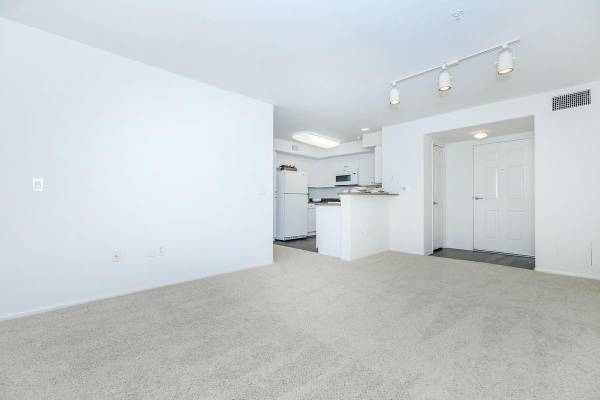 Professional Management and Maintenance Team, 9 Ft. Ceilings 1