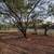 Fence Line Clearing and Maintenance Sendero 5 thumbnail
