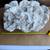 X-Large Natural Brain White Coral over 25Lb 1 thumbnail