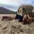 ISO horses, ponies, minis 1 thumbnail