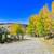 !!Buildable Lot on 1.9 acres for Sale in Park County 1 thumbnail