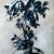 Alex Nizovsky - A Study Of A Plant - Botanical Painting Art 24"x36" 1 thumbnail