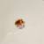 Royal Albert OLD COUNTRY ROSES 40 Pcs, Service for 8 England 1st Qua. 10 thumbnail