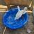 Mini pig and ducks for rehoming 3 thumbnail