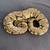 Normal ball python 2 thumbnail
