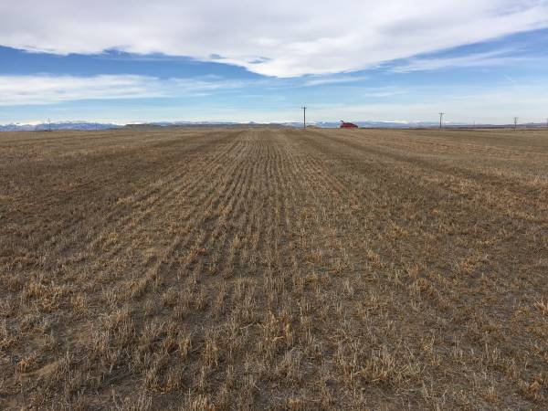 $64,000 6+ acres with water rights and beautiful views (Arapahoe)