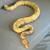 Banana ball python snake 1 thumbnail