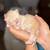 Himalayan/persian/tuxedo mix, kittens for sale 3 thumbnail