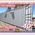 20 40 ft Cargo Container Storage Reefer Shipping Shed Sheds Containers 1 thumbnail