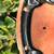Brand New Brooks Flyer S Special (MADE IN USA) Bike Seat 13 thumbnail