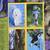 Lot of National Geographic Kids (22 issues) 6 thumbnail