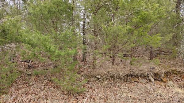 $16,000 1/4 acre lake lot in Arrowhead Estates, Eufaula, OK (Canadian/Eufaula)64150999518851124
