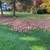 Mowing services in West Hartford 6 thumbnail