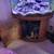 54 gallon corner reef tank 5 thumbnail