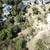 Vacant Land for Sale - 3905 N Hopevale Dr 5 thumbnail