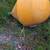 Mooring 1 thumbnail