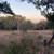 Tired of California? Quiet Texas Hilltop 1BR – 1ST MONTH FREE 10 thumbnail
