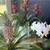 LANDSCAPE DESIGN • CONSULTING • WHOLESALE PLANT FURNISHING 12 thumbnail