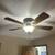 tWO Ceiling Fans 1 thumbnail