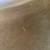 Kitchen / dining chairs - 4 7 thumbnail