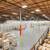 Flexible Warehouse Space at Cubework Aurora with no hidden fees 3 thumbnail