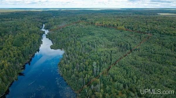 $80,000 33 Acres 1/4 of Net River frontage MLS 50188529 (Amasa)64151609235842120